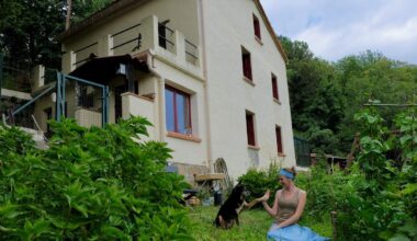 Jana Wuyts verhuist door zwerfhond Boef naar de natuur: “Hij heeft ons leven veranderd”