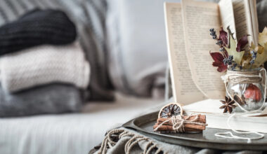 Nieuwe Franse boeken om in te verdwijnen