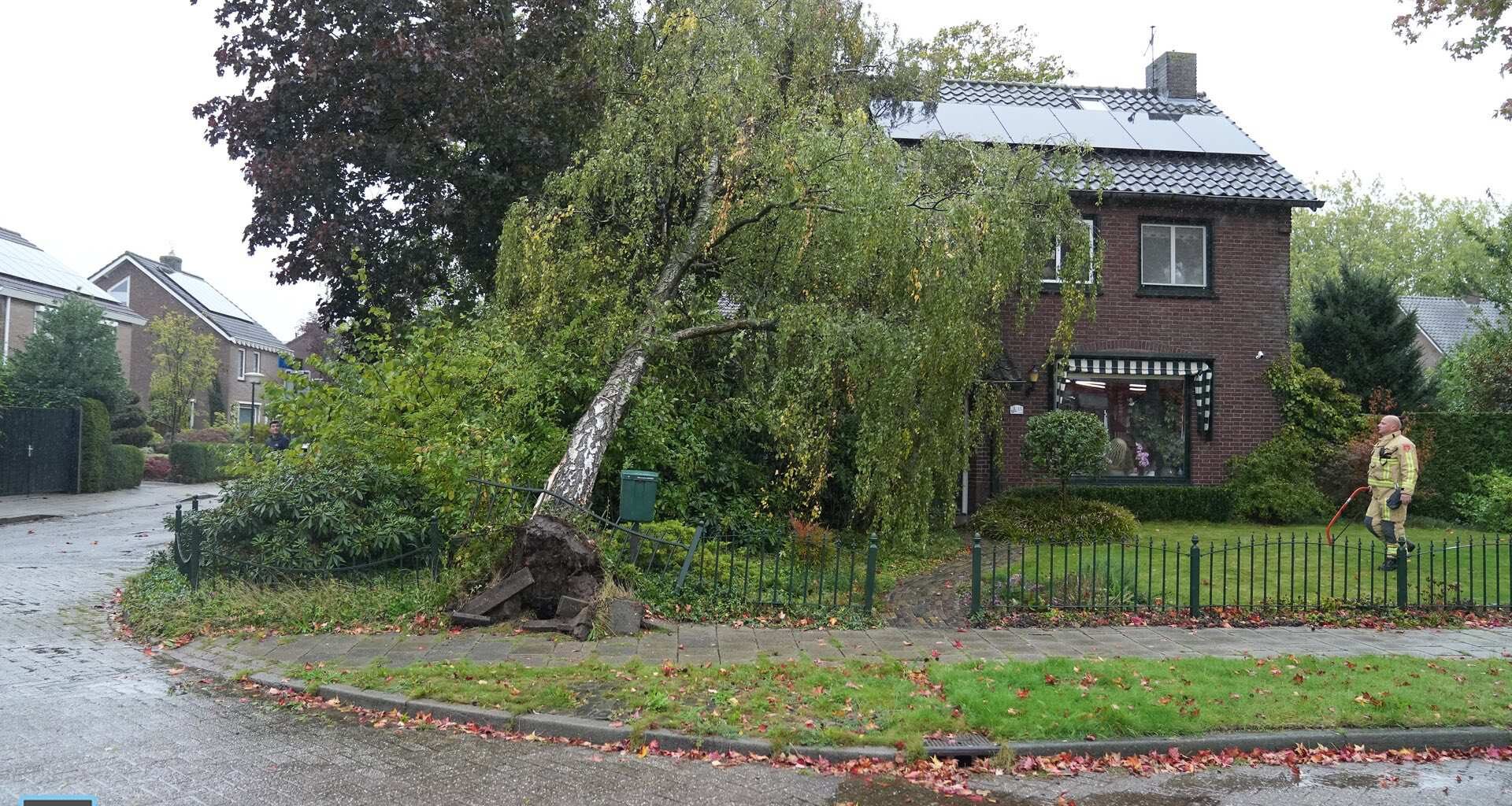 Boom valt op woning in Budel-Dorplein