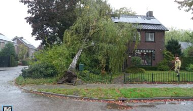 Boom valt op woning in Budel-Dorplein