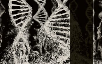 Coroner – Dissonance Theory | Zware Metalen