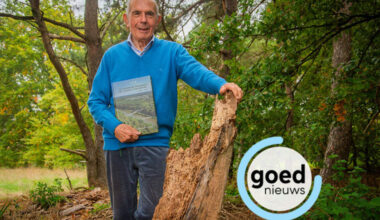 Vic Mennen (85) schrijft boek over Bosland: “Mensen inspireren om beter naar de bomen te kijken”