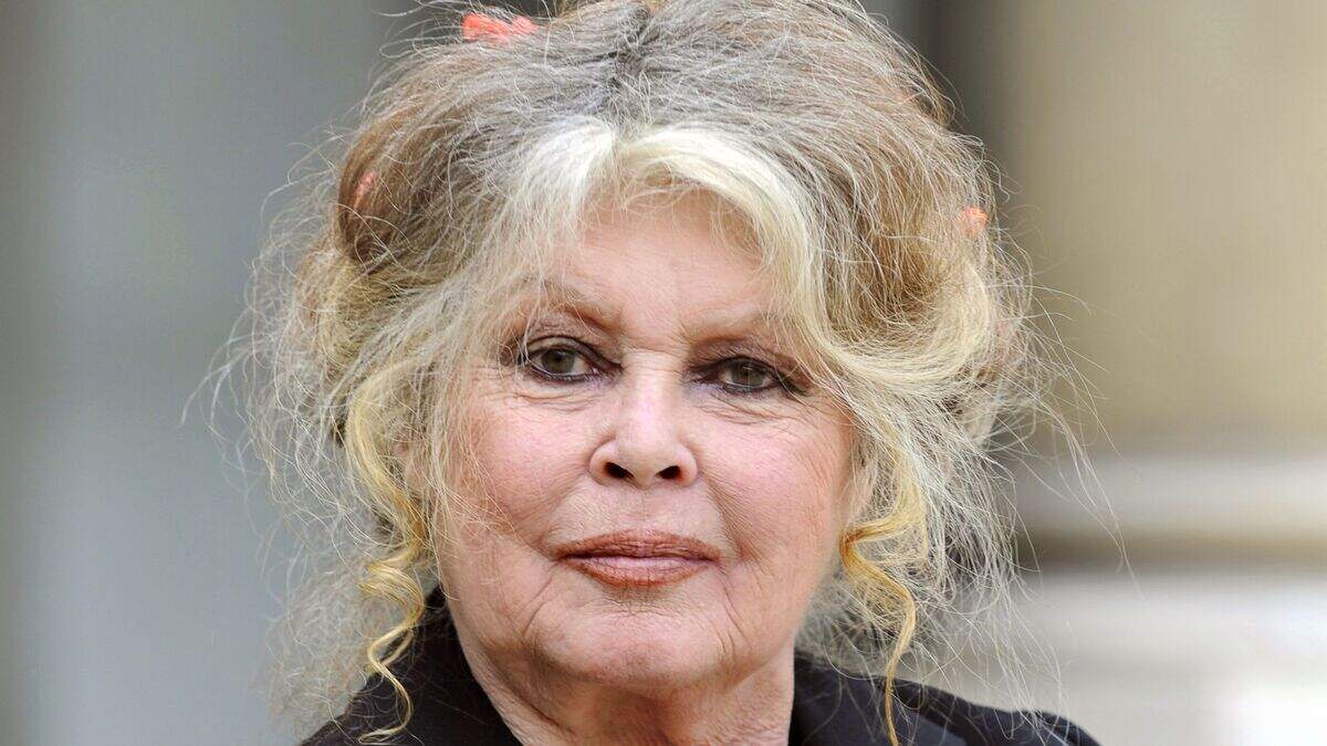 Franse actrice Brigitte Bardot opgenomen in het ziekenhuis