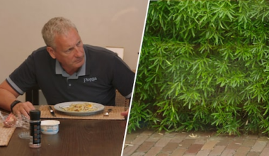 Gert Verhulst maakt zich in De Verhulstjes zorgen om planten in de tuin: 'Is dat geen marihuana?'