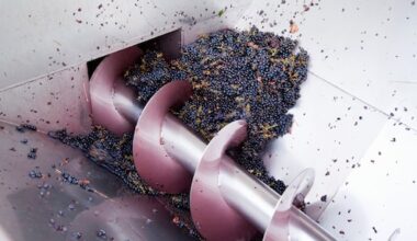 Italiaanse wijnboer (44) omgekomen door ongeluk met eigen druivenpers