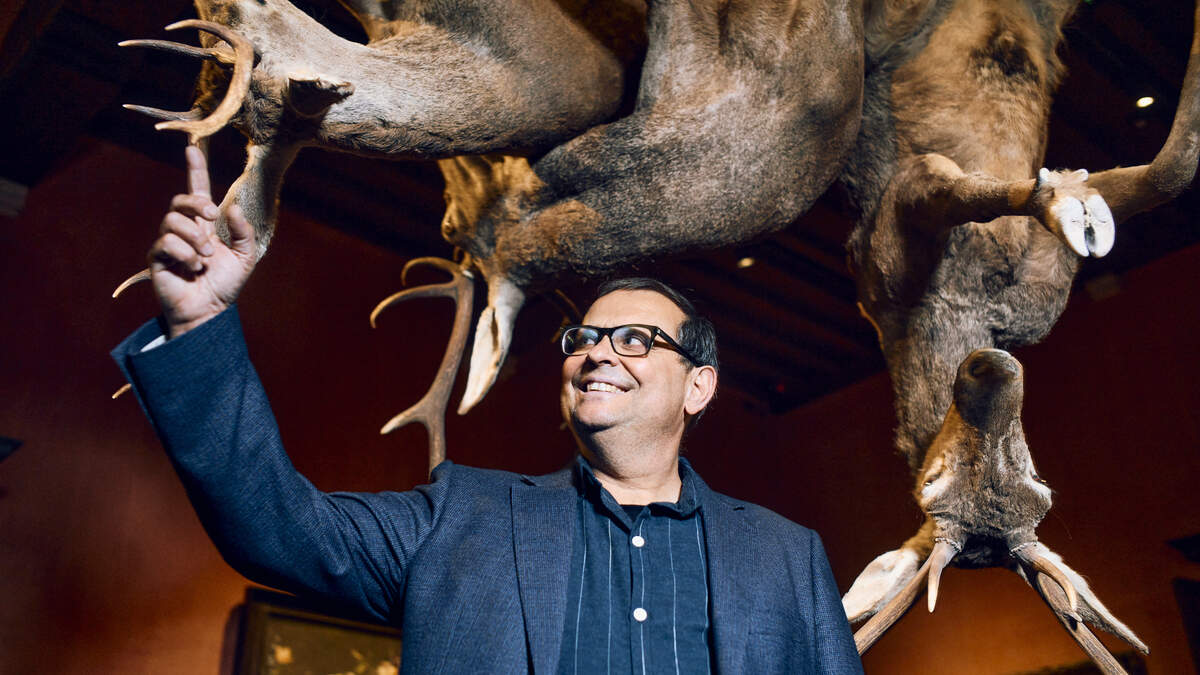 Daarom hangen er herten aan plafond in Snijders&Rockoxhuis: kunstenfestival Europalia laat Spanje met expo’s herleven in Antwerpen