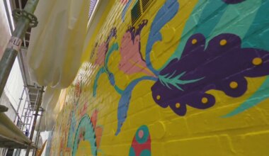 Woede in Groningse buurt: reusachtig schilderwerk moet weg door blunder gemeente