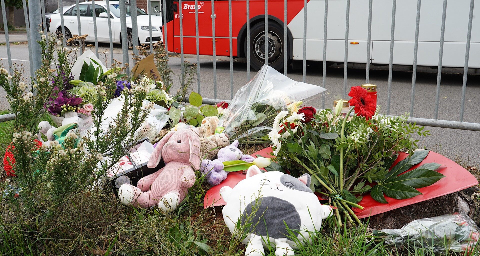 Goirlese carnavalsvereniging rouwt om overlijden jeugdraadslid Anne-Roos (10) - Omroep Tilburg