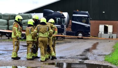 Honderden varkens omgekomen in stal Ospel, mogelijk door giftig gas