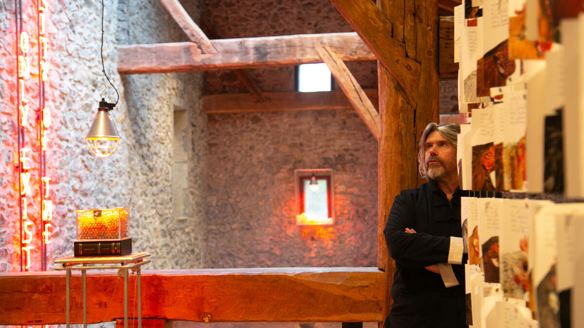 Koen Vanmechelen imponeert Guggenheim met nieuw kippenras in Baskische expo - HBVL