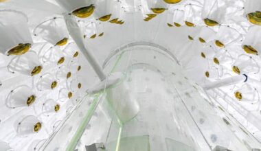 Donkere materie blijft ongrijpbaar maar we gaan in de goede richting