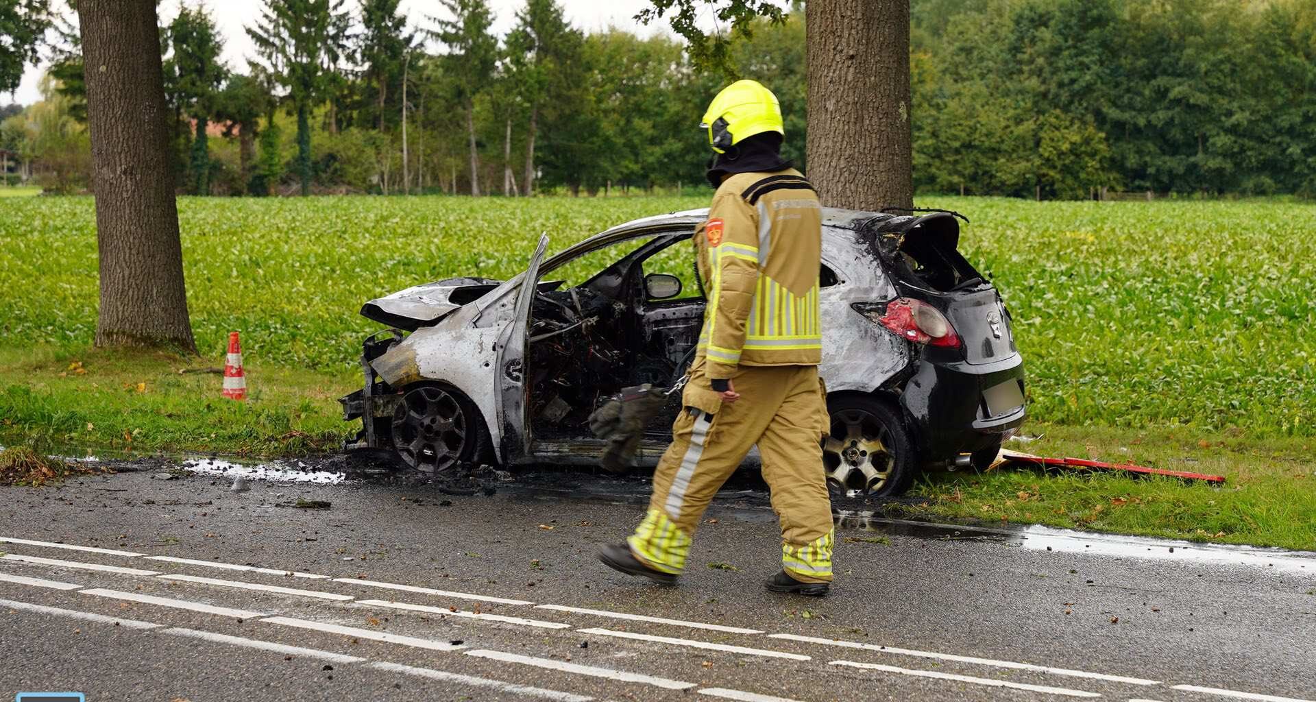 Auto botst tegen boom en vliegt in brand in Roggel