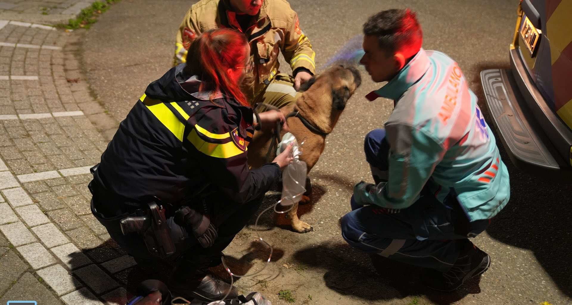 Bewoner slaapt door terwijl pannetje op vuur staat