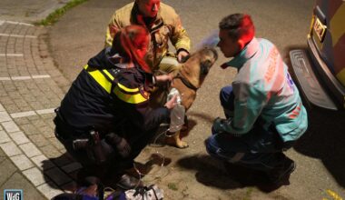 Bewoner slaapt door terwijl pannetje op vuur staat