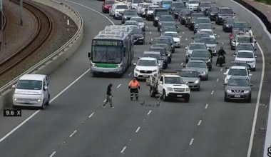 Botsing en grote file op snelweg Australië door overstekende eenden