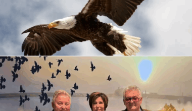 Jan Tuijp en Jan Keizer exposeren vandaag samen tijdens ‘Kunstkijken’ in PX in Volendam