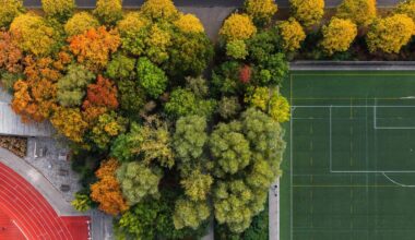 FOTO. De herfst is aangekomen in Gent: door de lens van lokale fotografen zit het seizoen vol kleur