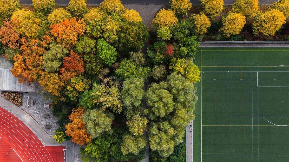 FOTO. De herfst is aangekomen in Gent: door de lens van lokale fotografen zit het seizoen vol kleur