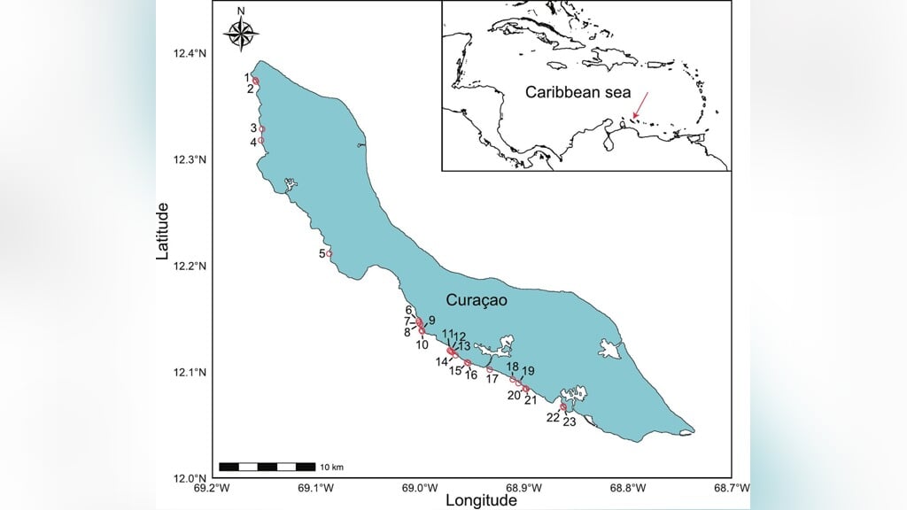 Kaart van Curaçao met de veldlocaties die zijn gebruikt voor het verzamelen van gegevens in maart 2023.