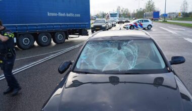 Profielfoto van Danique Pals