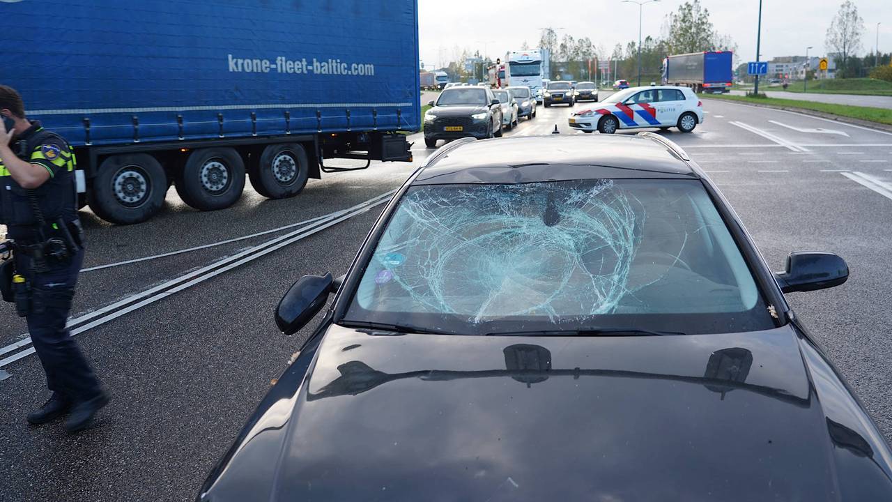 Profielfoto van Danique Pals