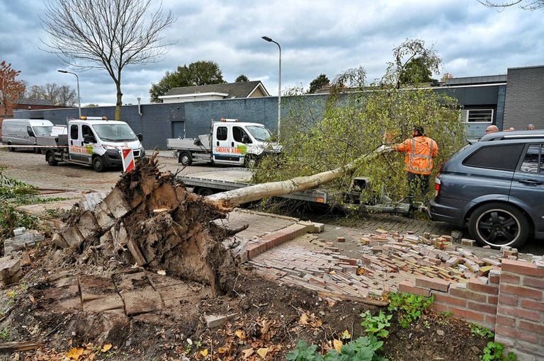 Foto: Toby de Kort/Persbureau Heitink.