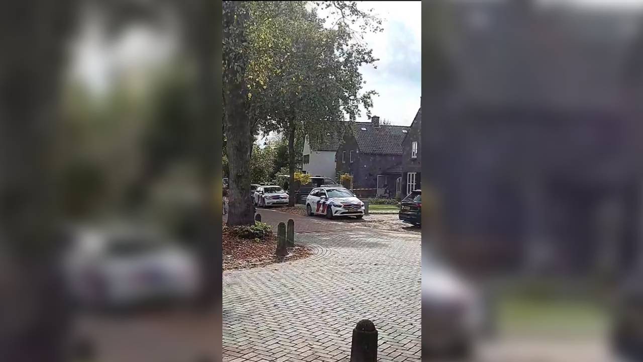 De politie kon de verdachte snel aanhouden (foto: Dtv Nieuws).