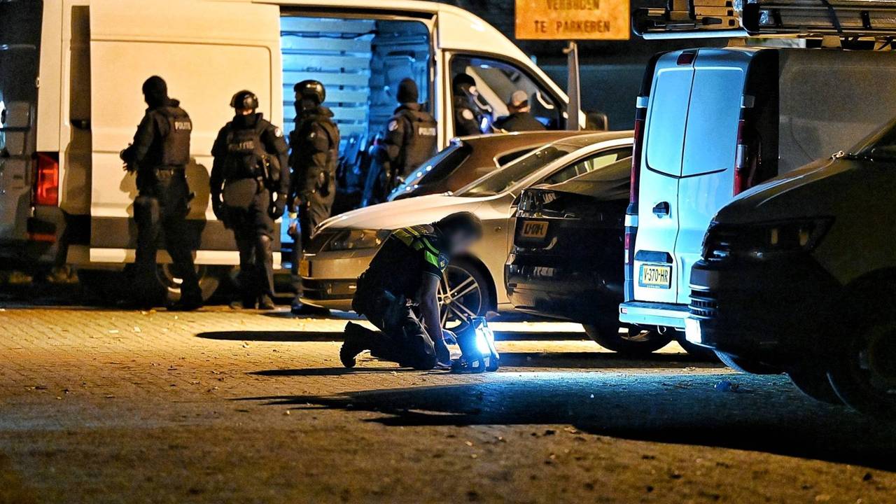 Profielfoto van Danique Pals