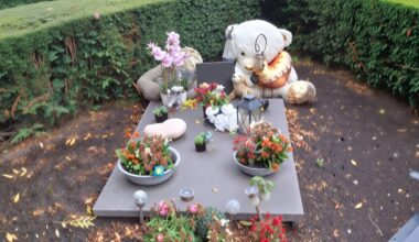 Er staan te veel spullen op het graf en de achterste knuffel staat niet op het graf (foto: Jay Manichand)