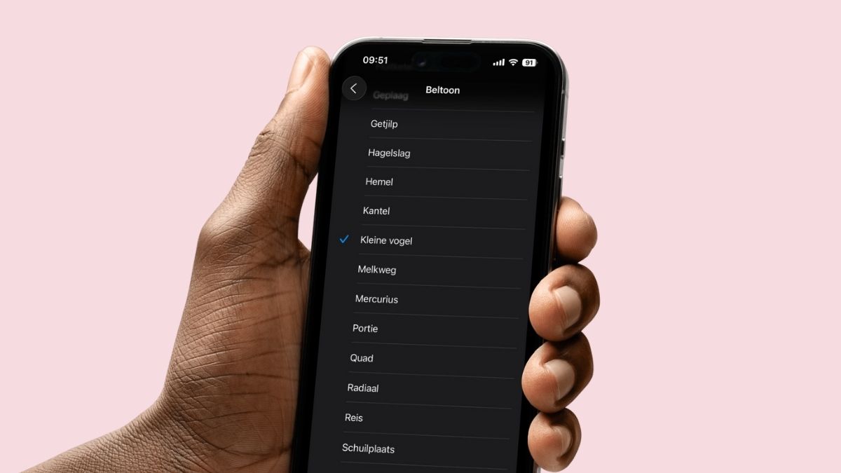 Beltoon kleine vogel