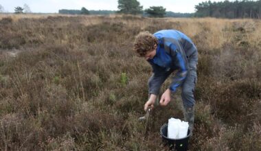 Foto van Robert Ellenkamp