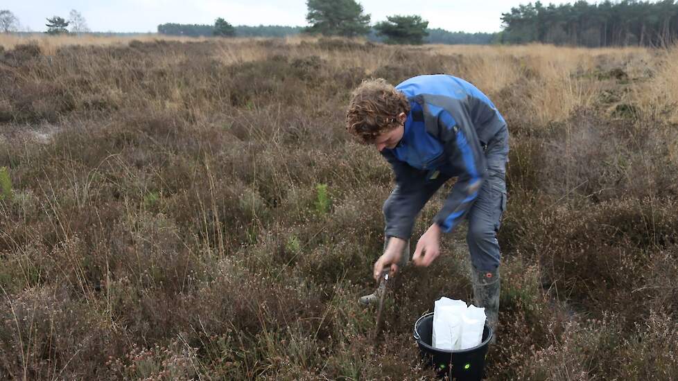 Foto van Robert Ellenkamp