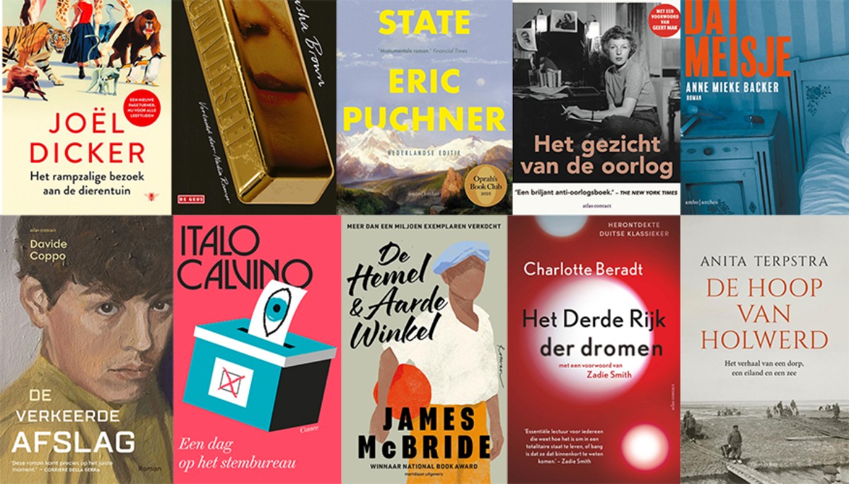 Tien nieuwe boekentips: van Dream State tot De hemel & aarde winkel - VPRO Boekengids