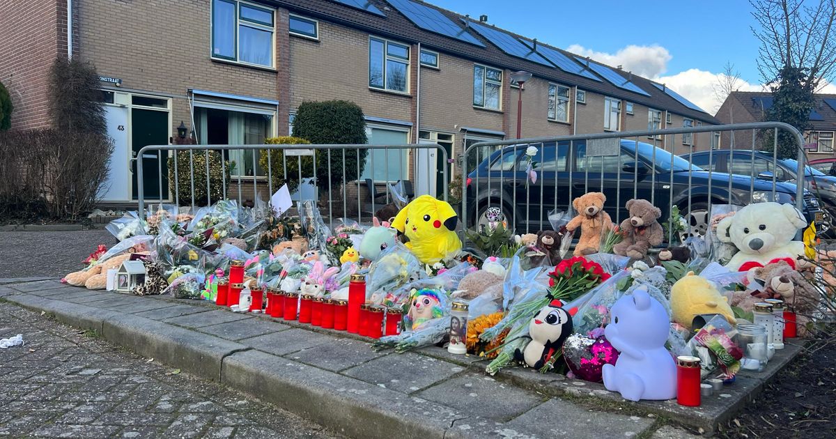 Verdachte doodsteken Sohani (11) was volgens onderzoekers 'volledig ontoerekeningsvatbaar'