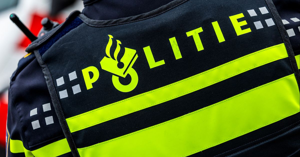 Huis vol illegale pillen die wereld overgaan: 'Heel distributiecentrum in gewoon huis' - Omroep West