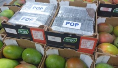 Drugsbaas moet cel in en justitie wil ook nog 20 miljoen euro van hem hebben - Rijnmond