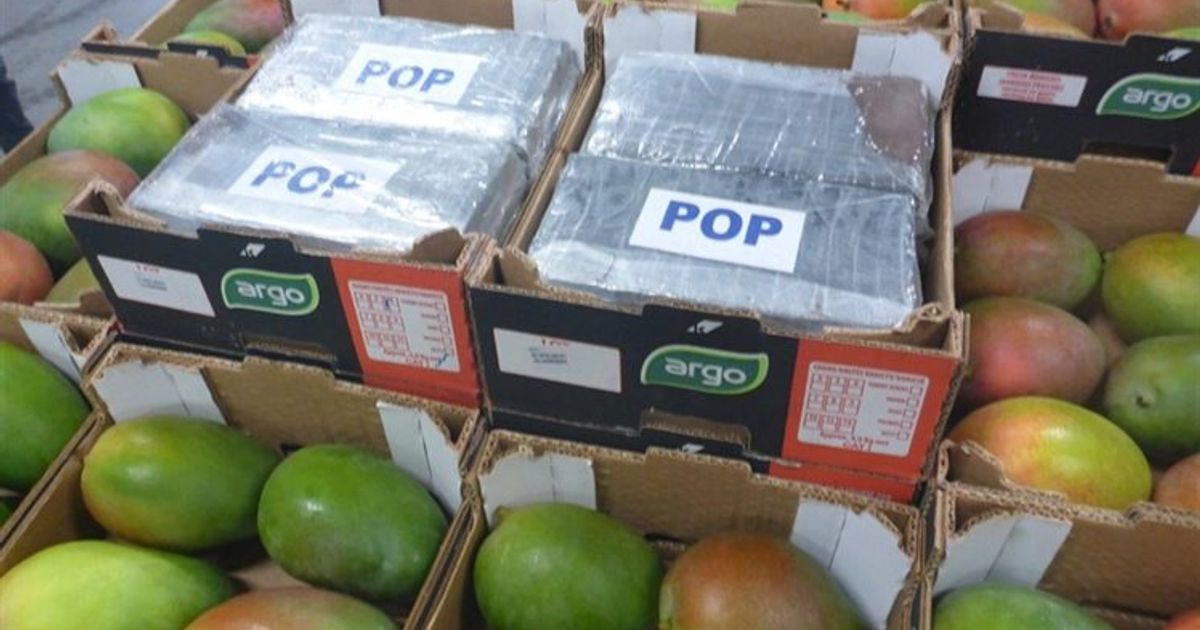 Drugsbaas moet cel in en justitie wil ook nog 20 miljoen euro van hem hebben - Rijnmond