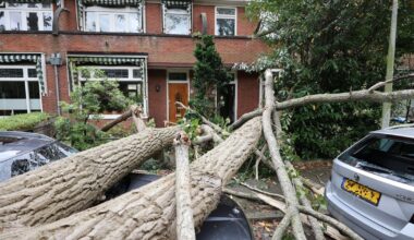 KNMI geeft code oranje af: zware storm op komst - Omroep West