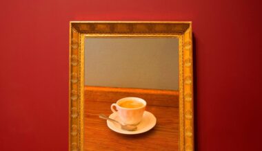 Opinie | De apparatencultuur maakt van ons solitaire huismussen