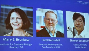 De Nobelprijs voor Geneeskunde gaat naar drie onderzoekers: dankzij een schilferige muis ontdekten zij hoe het immuunsysteem zichzelf onder controle houdt