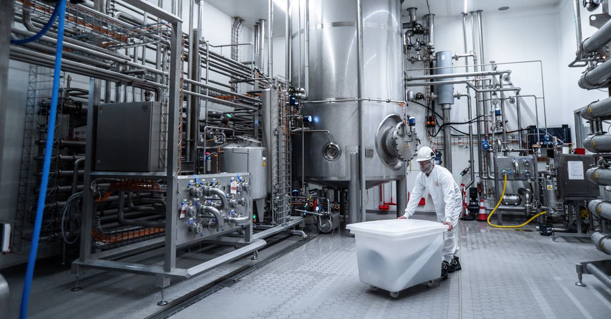 ‘Wie denkt dat de proteïnehype snel overwaait, vergist zich’