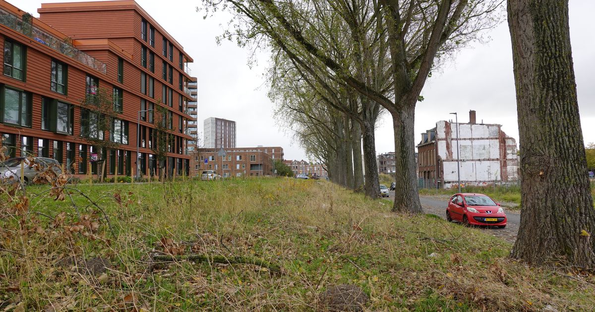 Vergeten erfenis in Rotterdam: stuk grond van vrouw uit 1852 houdt nieuwbouw tegen