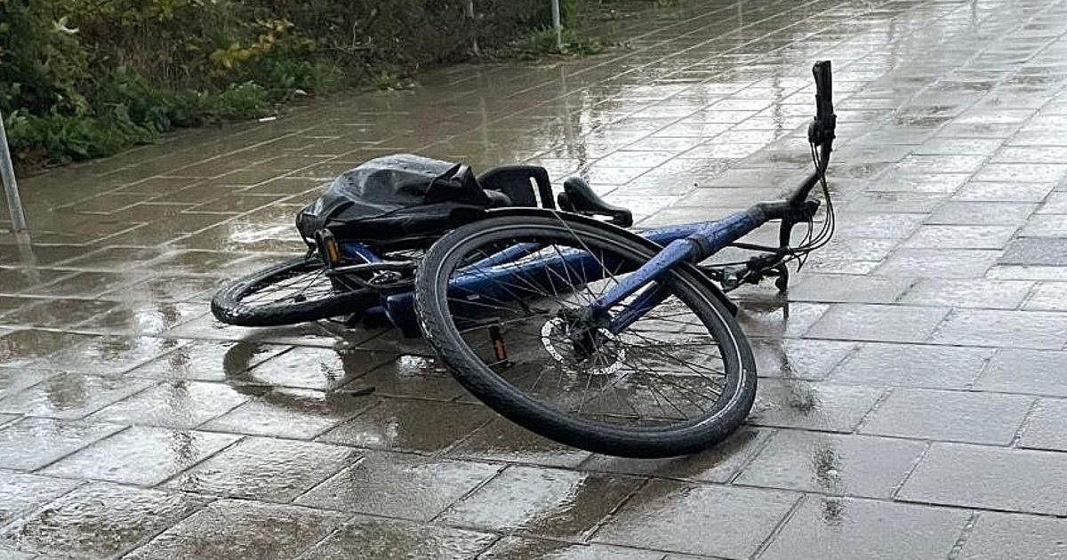 Vrouw (72) die jongeren aanspreekt ernstig mishandeld: 'Ze is volledig afgemat' - Omroep West