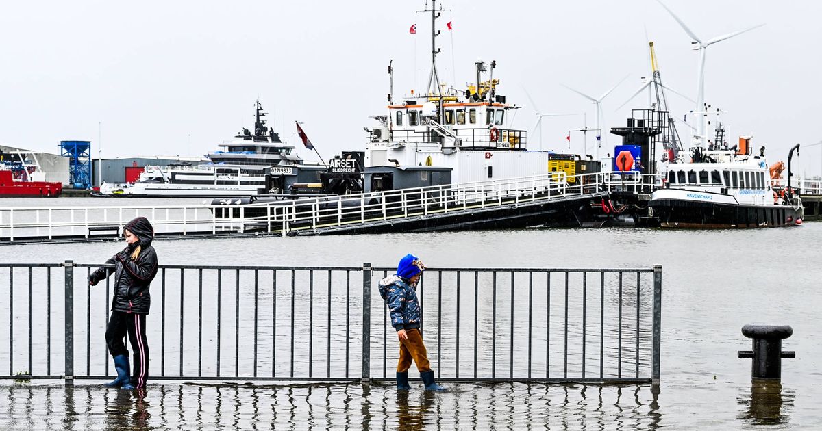 Dijkdoorgangen bij Delfzijl gesloten vanwege hoogwater - RTV Noord