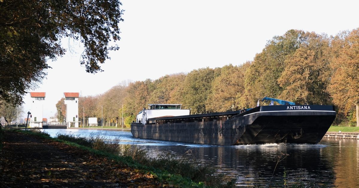 Rijkswaterstaat kapt honderd bomen langs Twentekanaal - RTV Oost