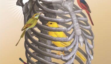 Recensie: The Family Acid - Colour Out Of Space