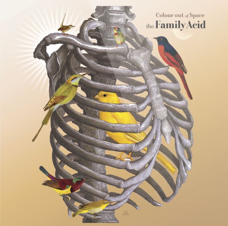 Recensie: The Family Acid - Colour Out Of Space