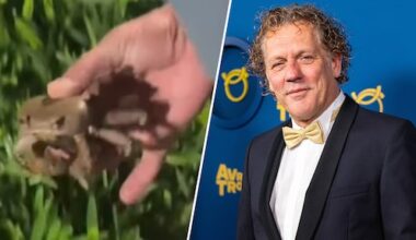 Kees van der Spek roept hulp Freek Vonk in na incident met krab: 'Auw!'