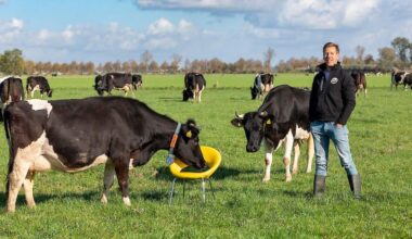 Opinie: Red de natuur, saneer een koe | Melkvee.nl