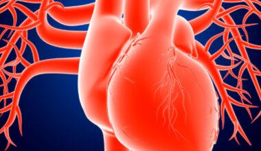 Slechts vier risicofactoren zijn verantwoordelijk voor 99 procent van alle acute hartproblemen